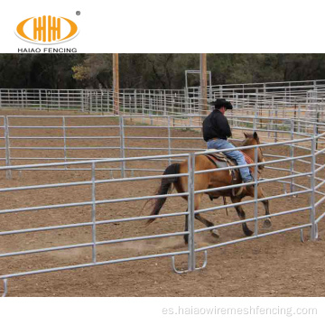 Paneles de corral de caballos redondos de 5 bares en venta